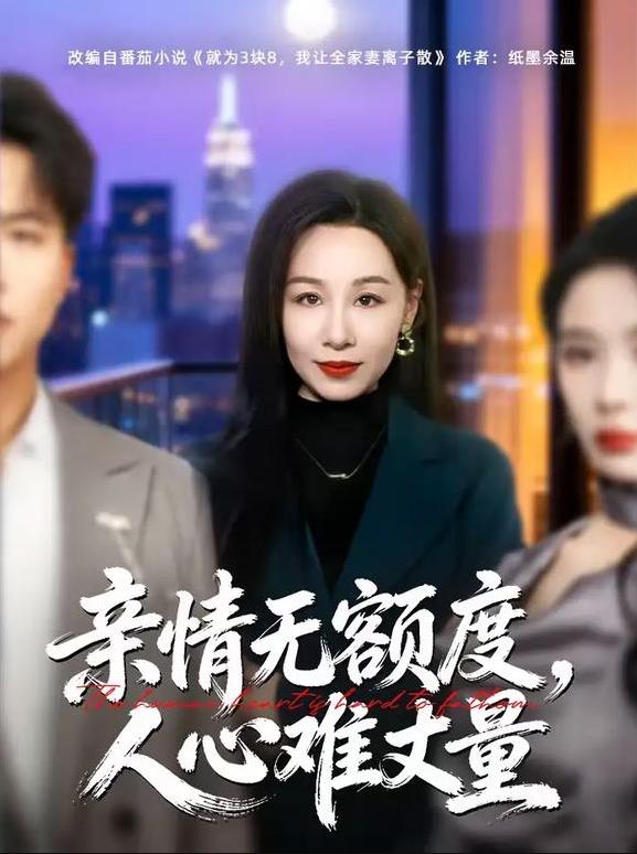 亲情无额度,人心难丈量海报