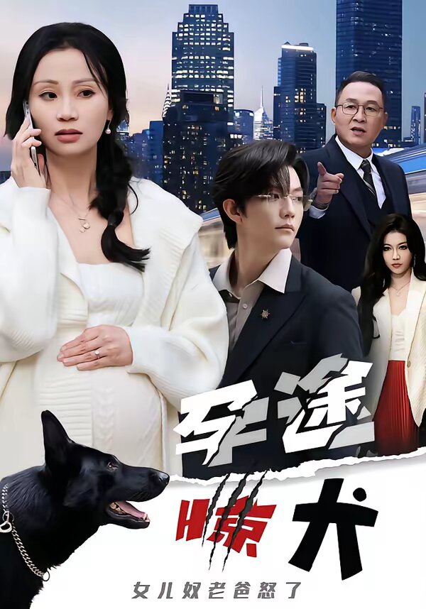 孕途惊犬,女儿奴老爸怒了海报