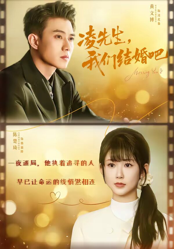 凌先生,我们结婚吧海报