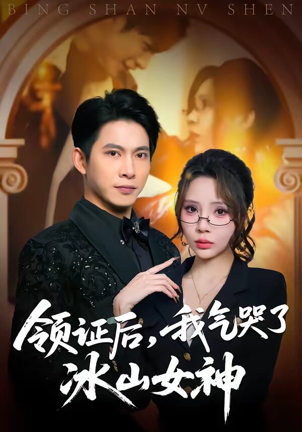 领证后,我气哭了冰山女神海报