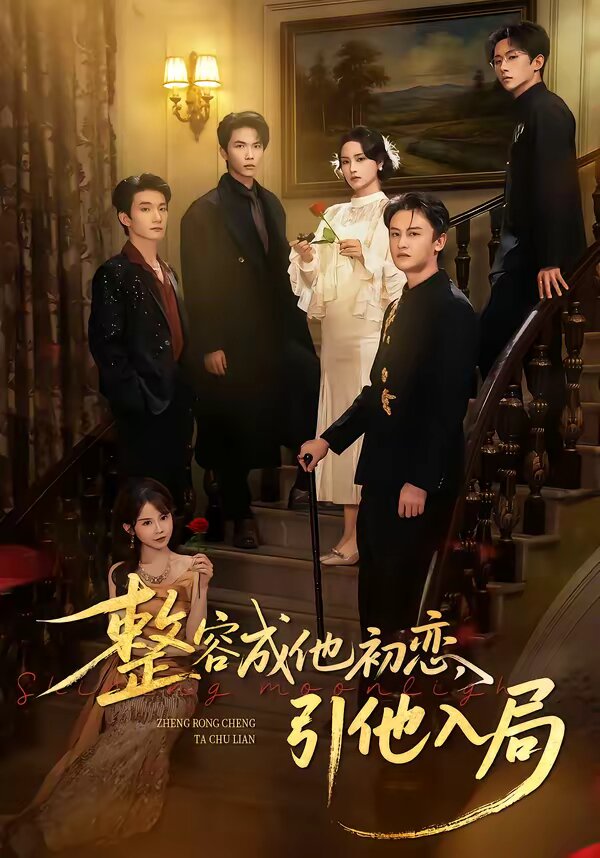 整容成他初恋,引他入局海报