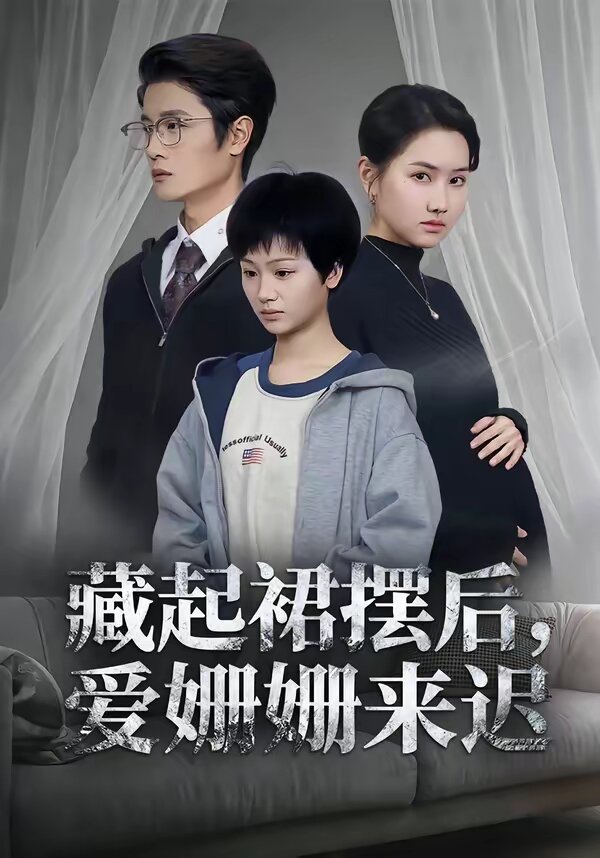 藏起裙摆后,爱姗姗来迟海报