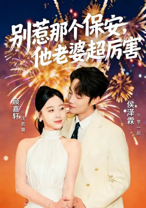 别惹那个保安,他老婆超厉害海报