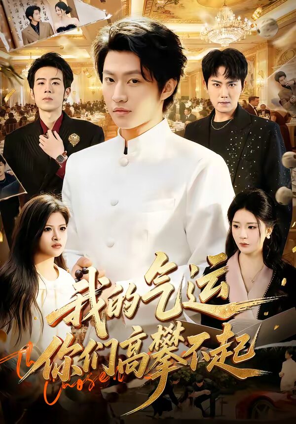 我的气运,你们高攀不起海报