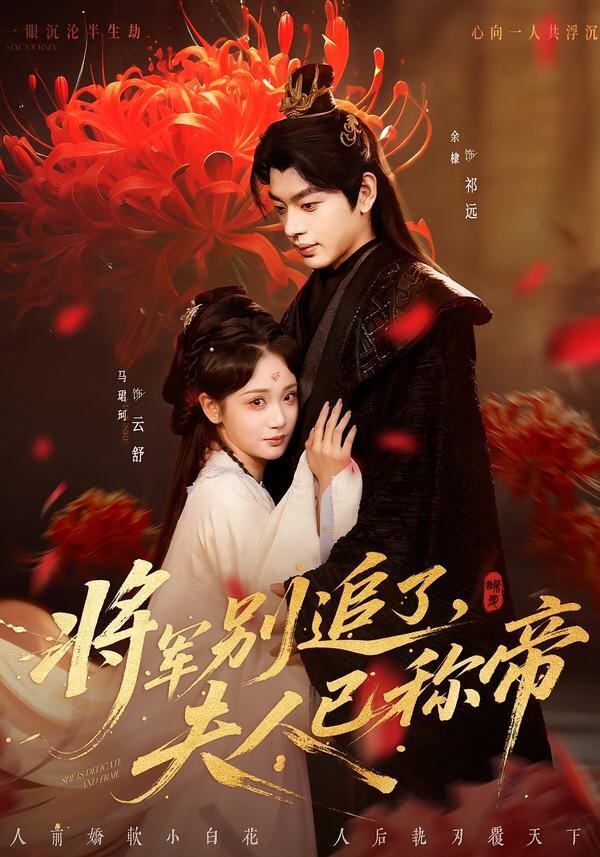 将军别追了,夫人已称帝海报