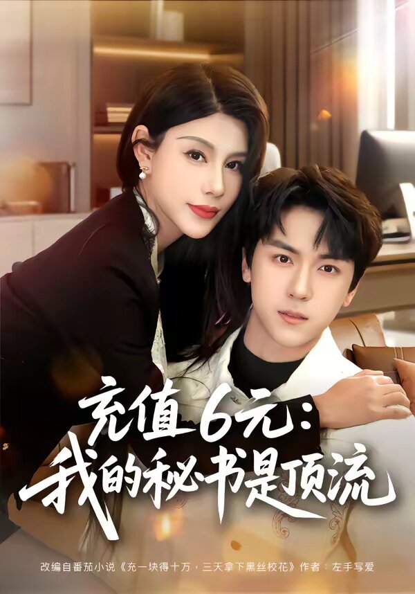 充值6元:我的秘书是顶流海报