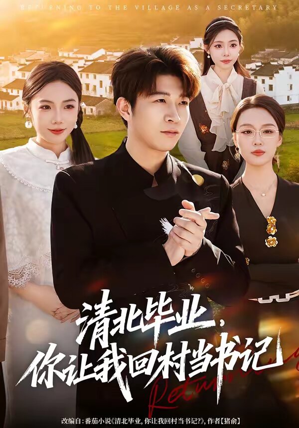 清北毕业,你让我回村当书记海报