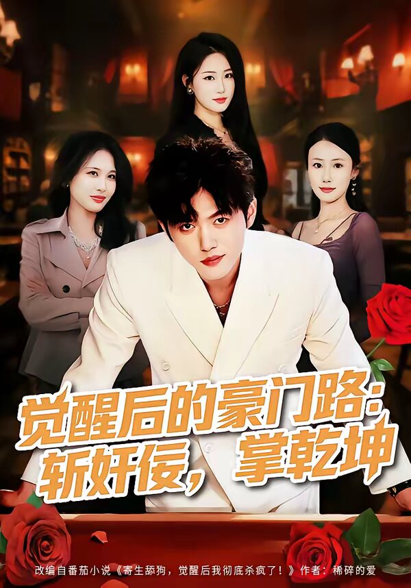 觉醒后的豪门路:斩奸佞掌乾坤海报