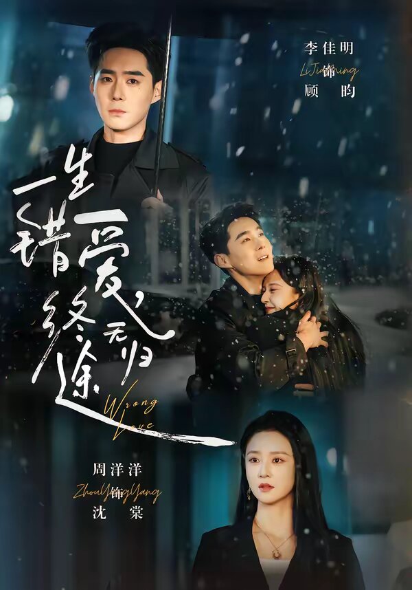 一生错爱,终无归途海报