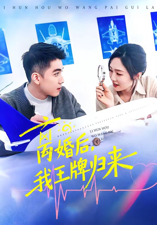 离婚后,我王牌归来海报